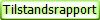 Tilstandsrapport